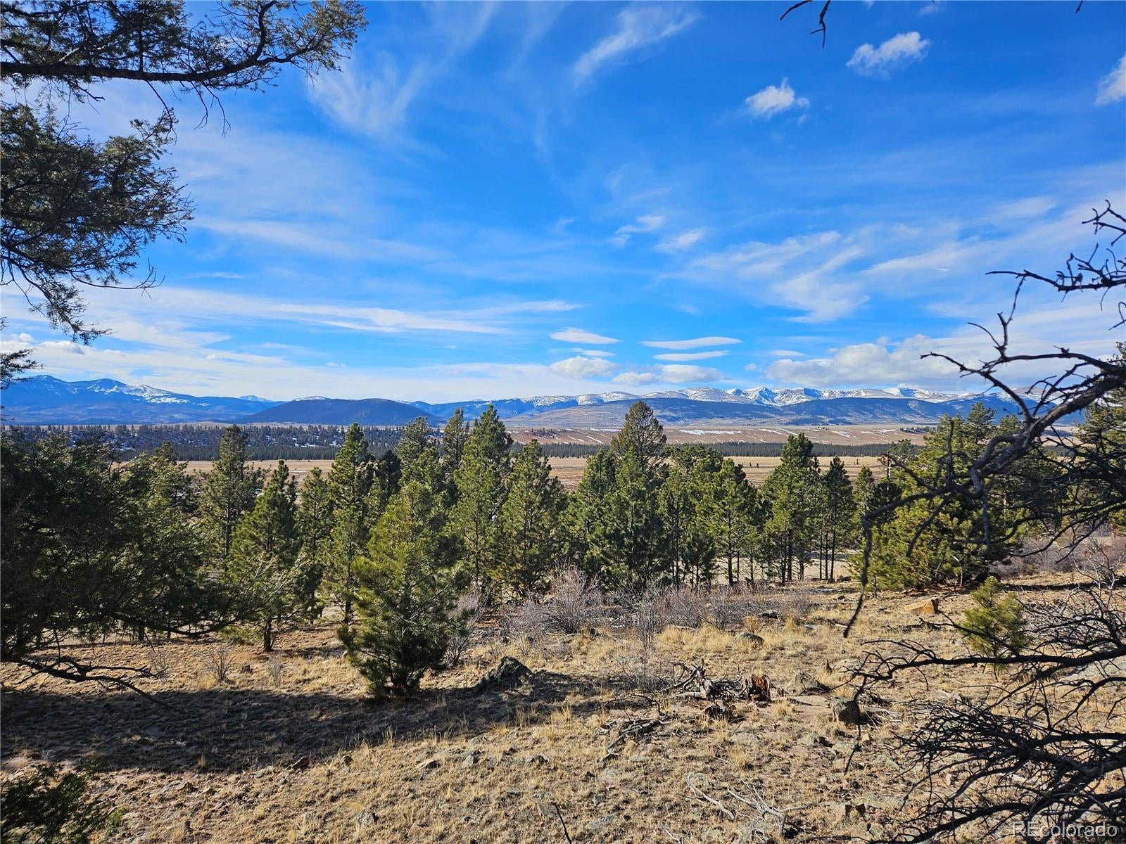 Photo of Listing #8855623