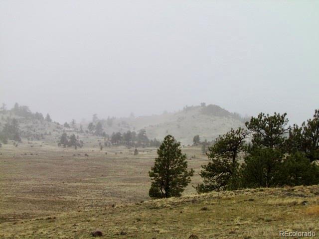 Photo of Listing #8878540