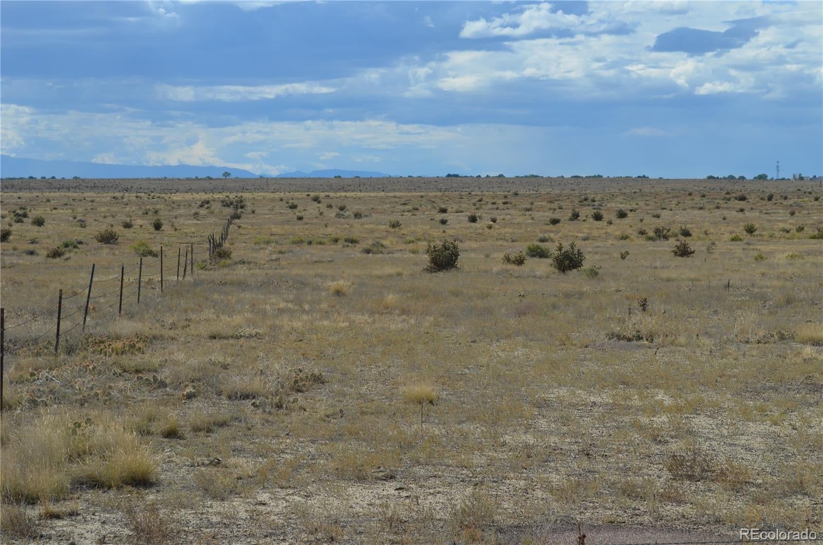 Photo of Listing #8902859