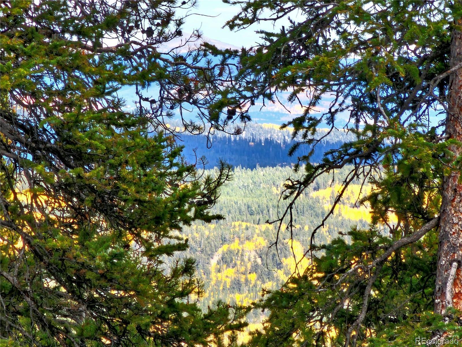 Photo of Listing #8926476