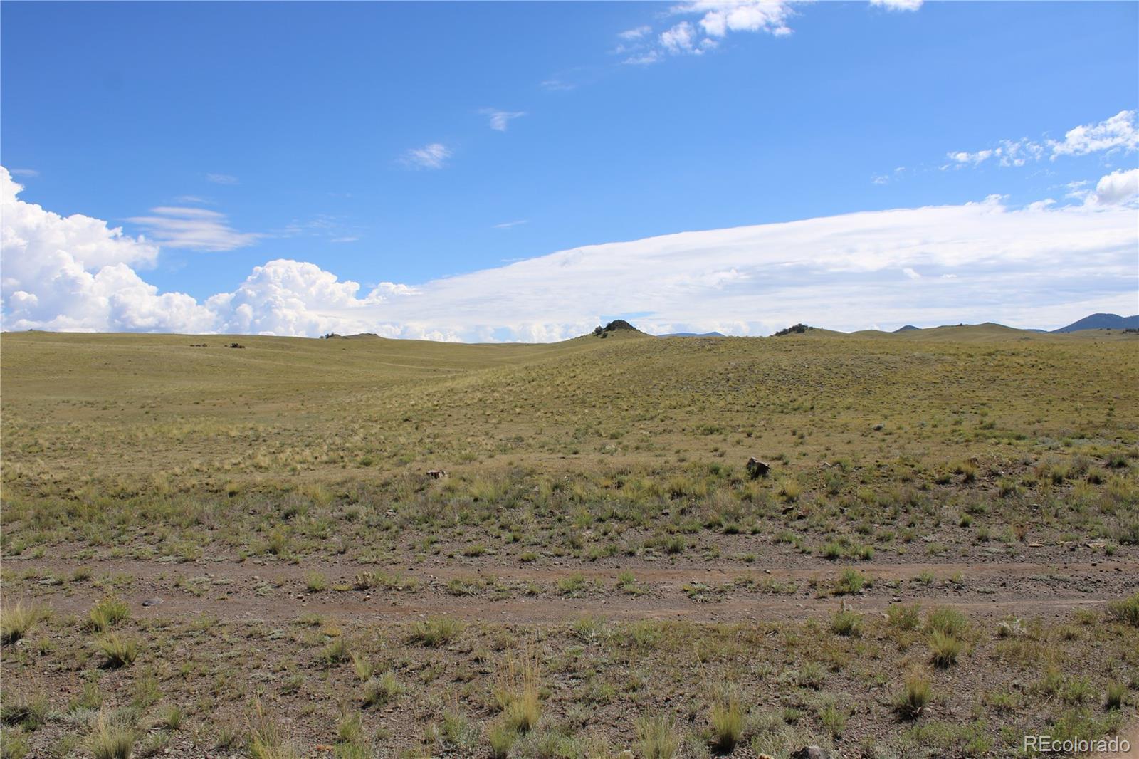 Photo of Listing #8926585