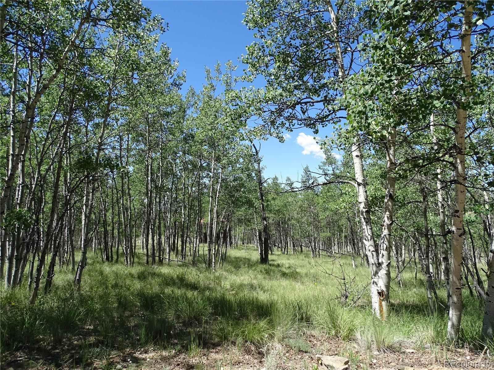 Photo of Listing #8931842