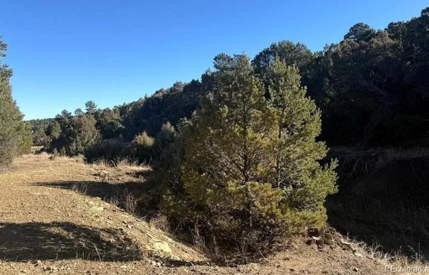 Photo of Listing #8932242