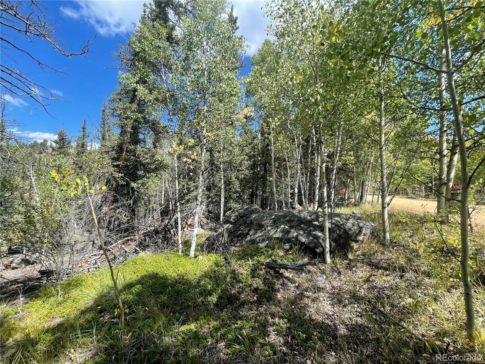 Photo of Listing #8970573