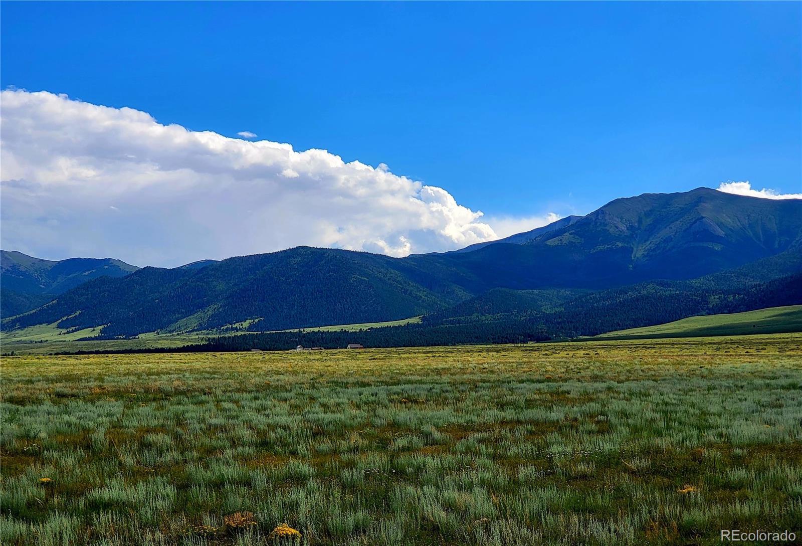 Photo of Listing #8973481