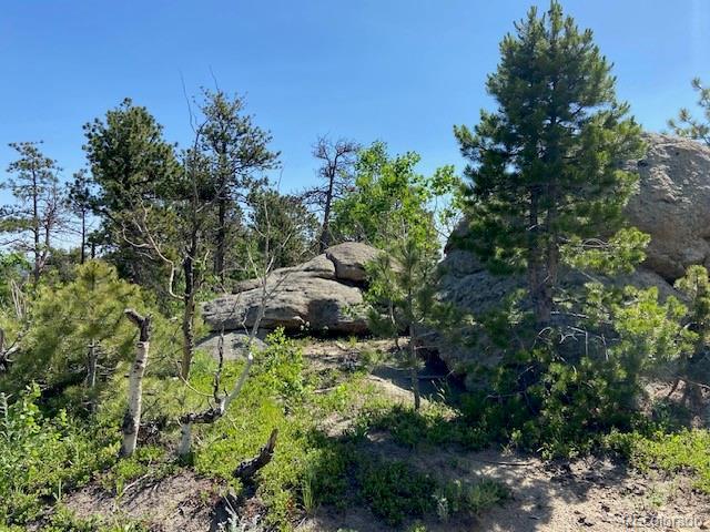 Photo of Listing #8974082