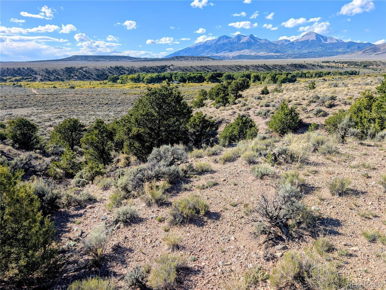 Photo of Listing #8993066