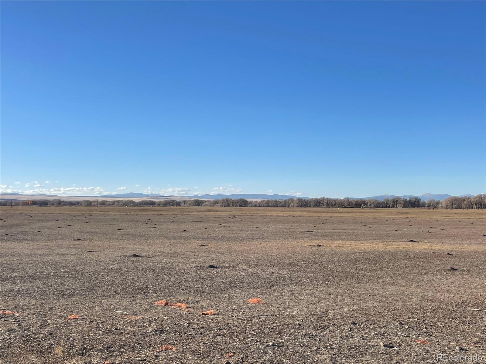 Photo of Listing #9015952