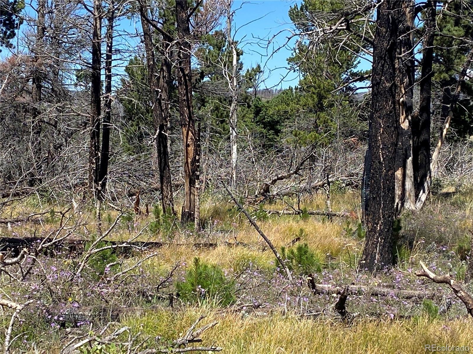 Photo of Listing #9057186