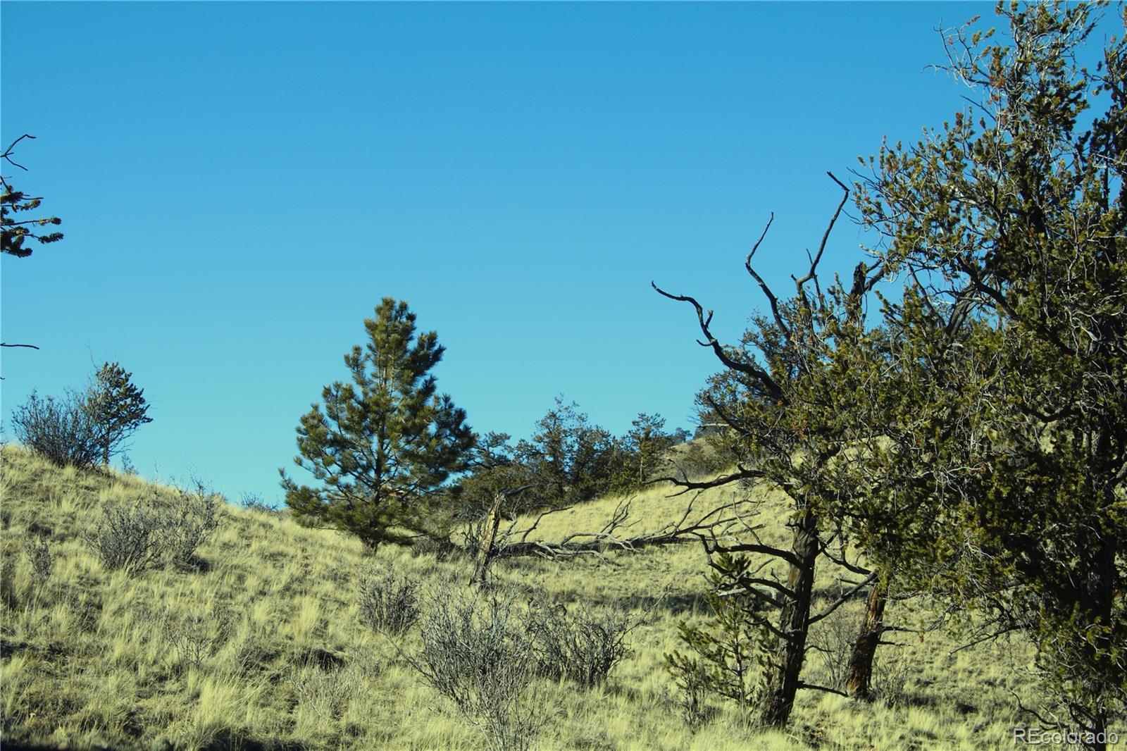 Photo of Listing #9100268