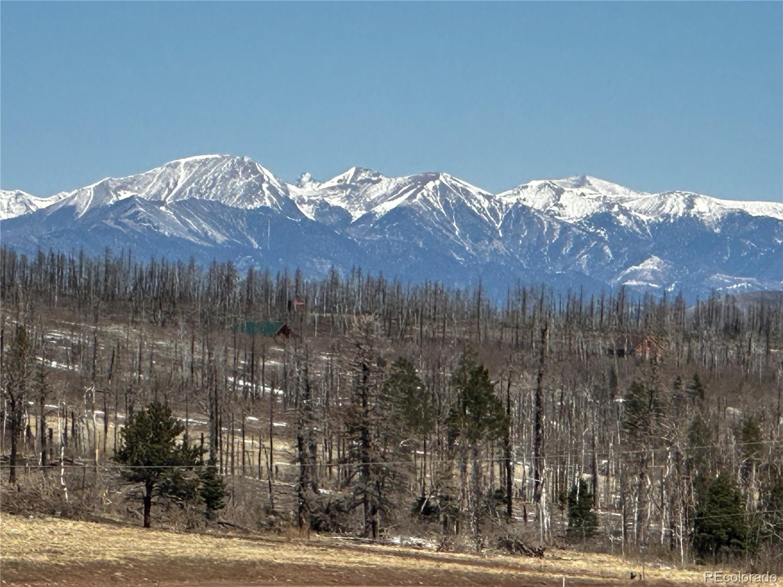 Photo of Listing #9106974