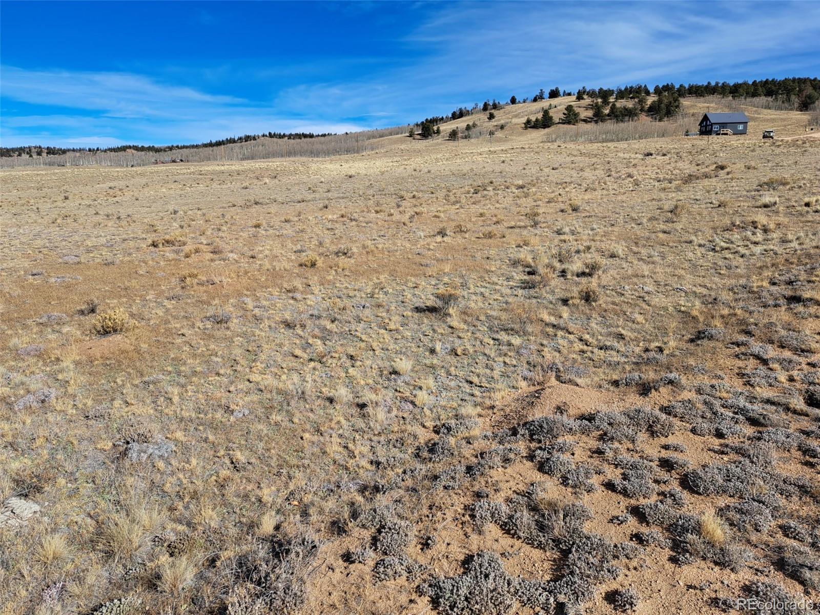 Photo of Listing #9134739