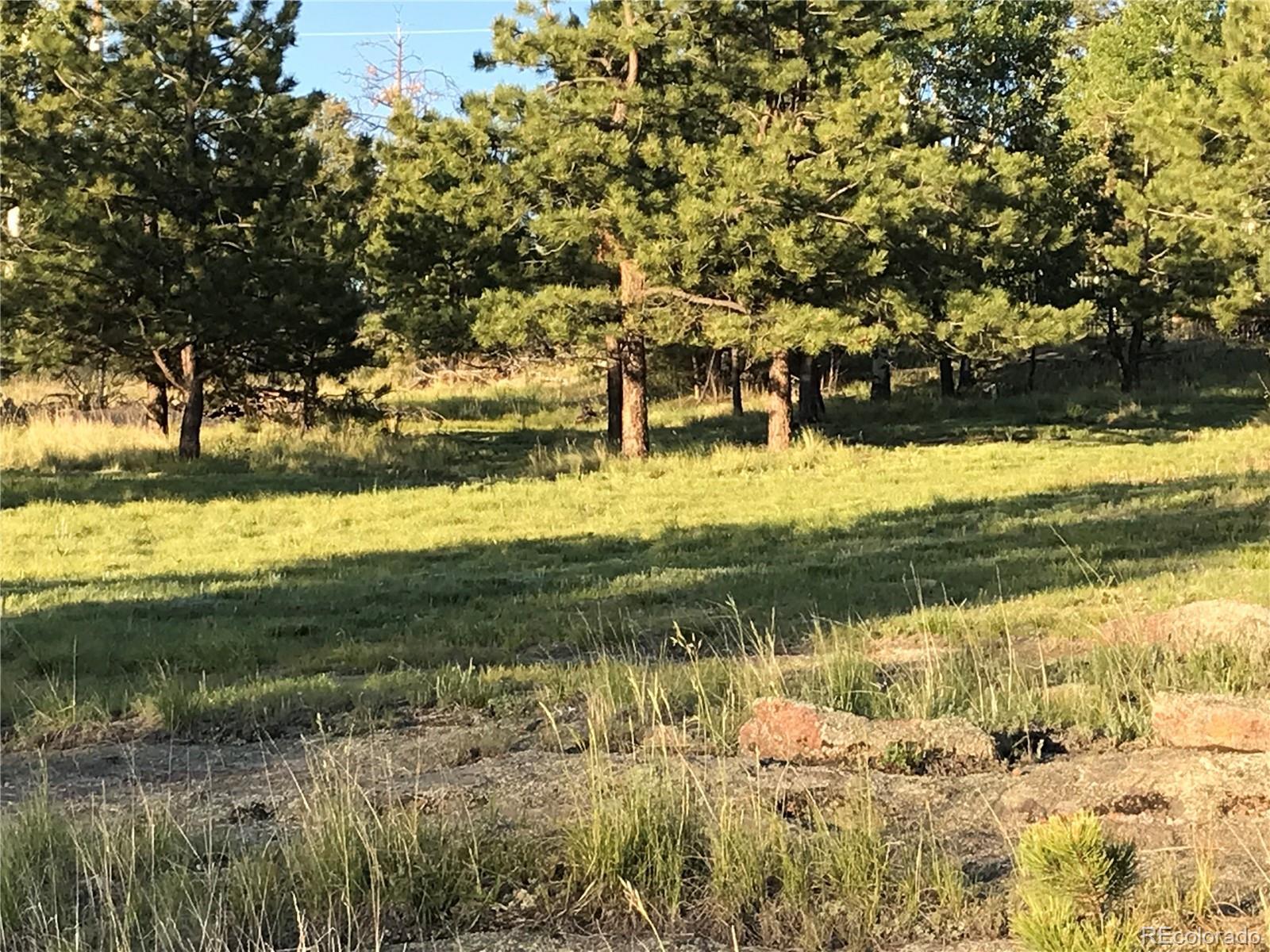 Photo of Listing #9179806