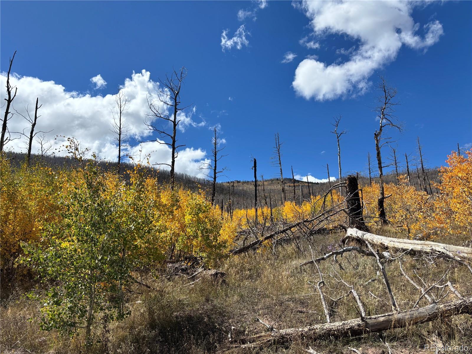 Photo of Listing #9209501