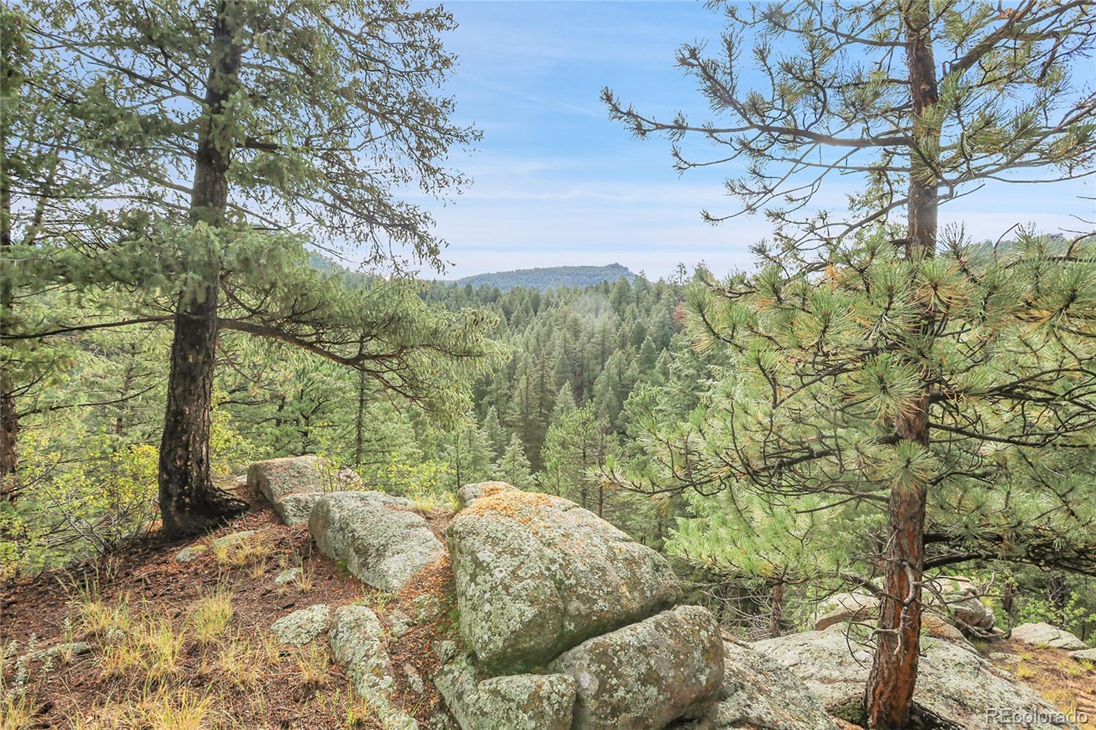 Photo of Listing #9250117