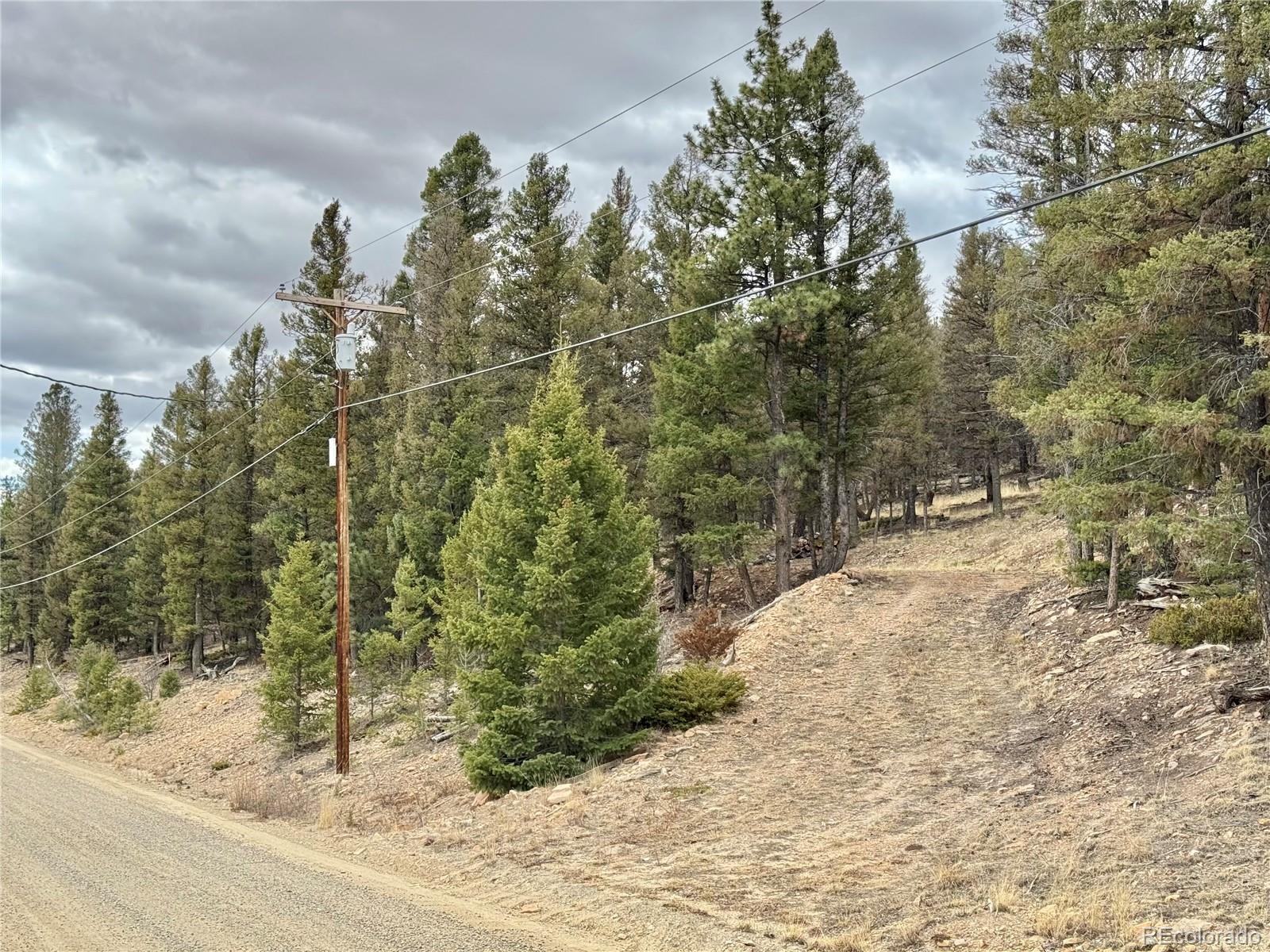 Photo of Listing #9250428