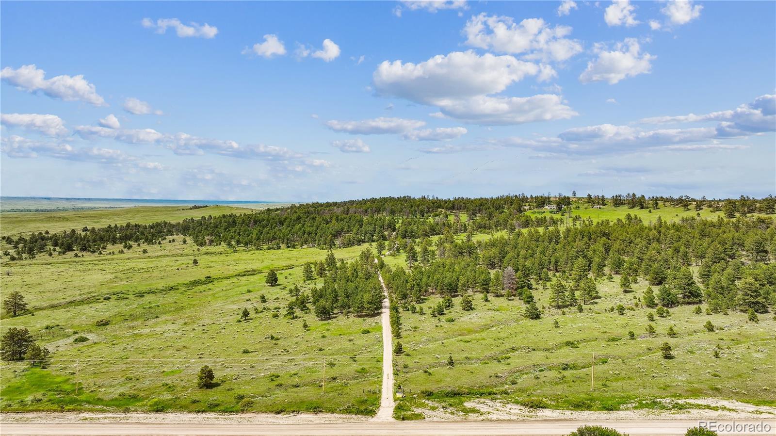 Photo of Listing #9263714