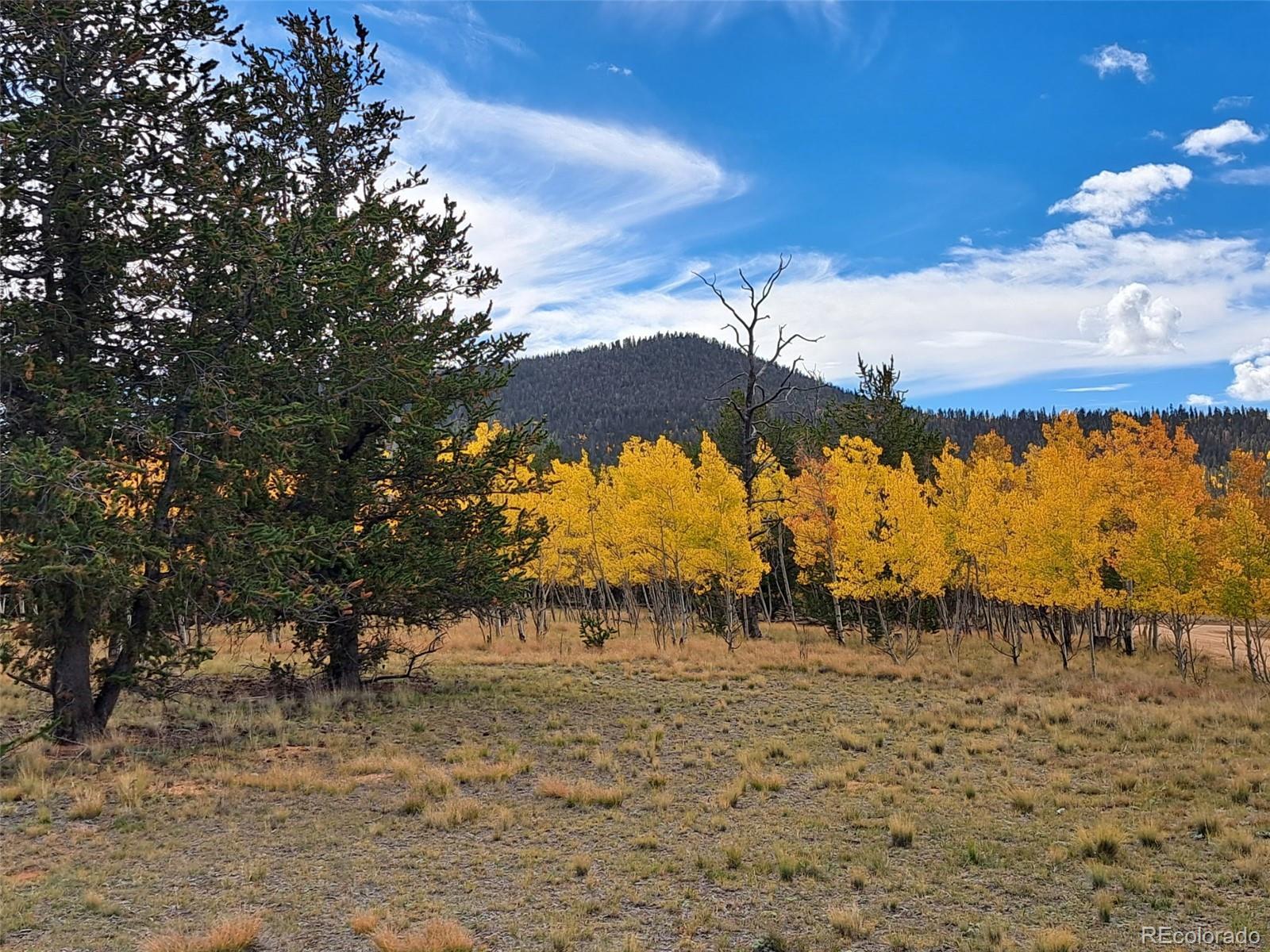 Photo of Listing #9264911