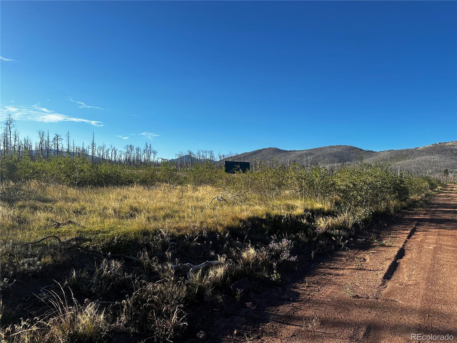 Photo of Listing #9289608