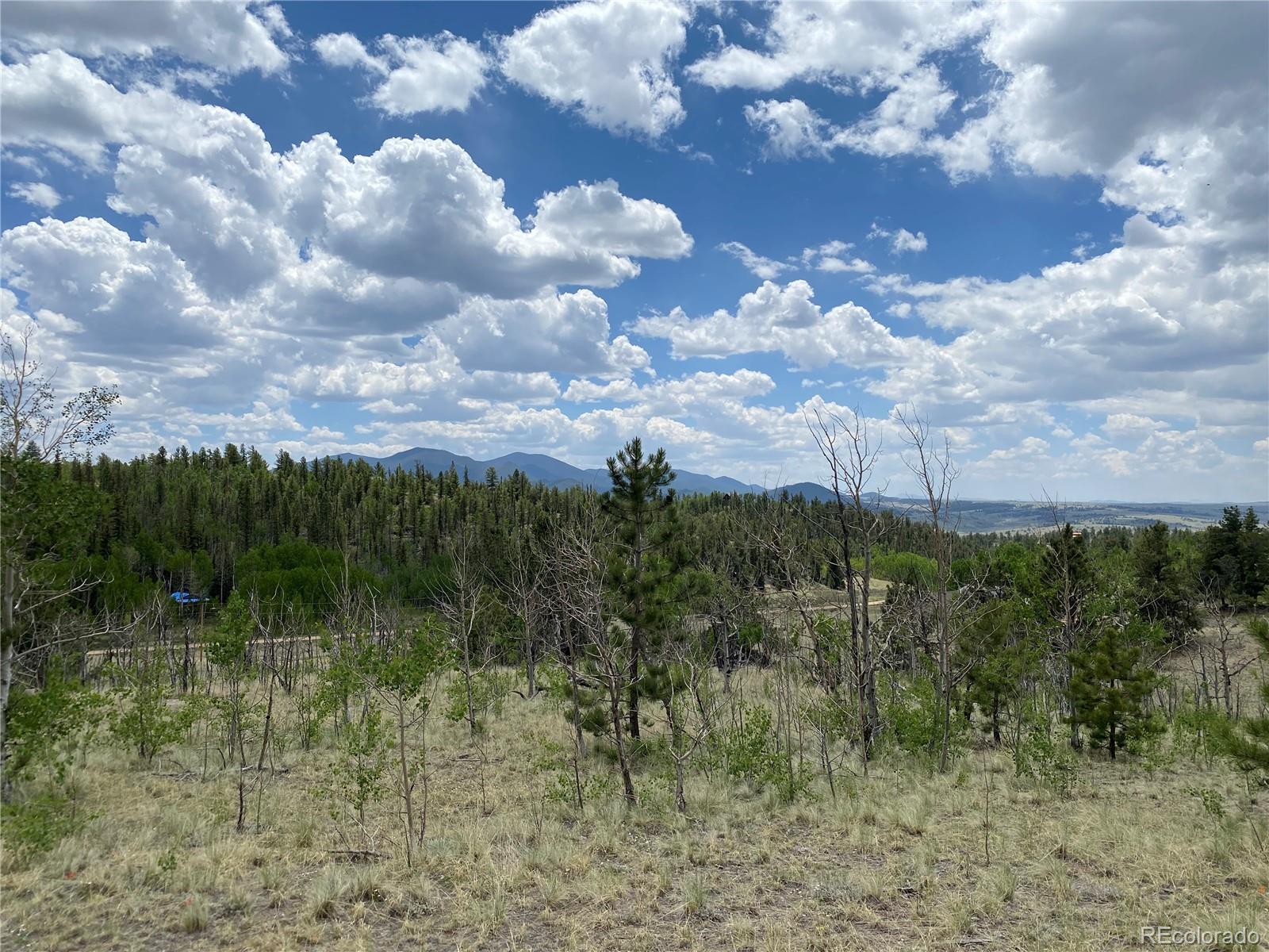 Photo of Listing #9313649