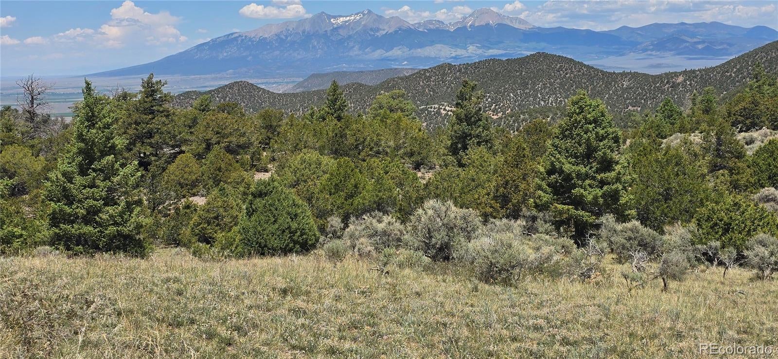 Photo of Listing #9314110