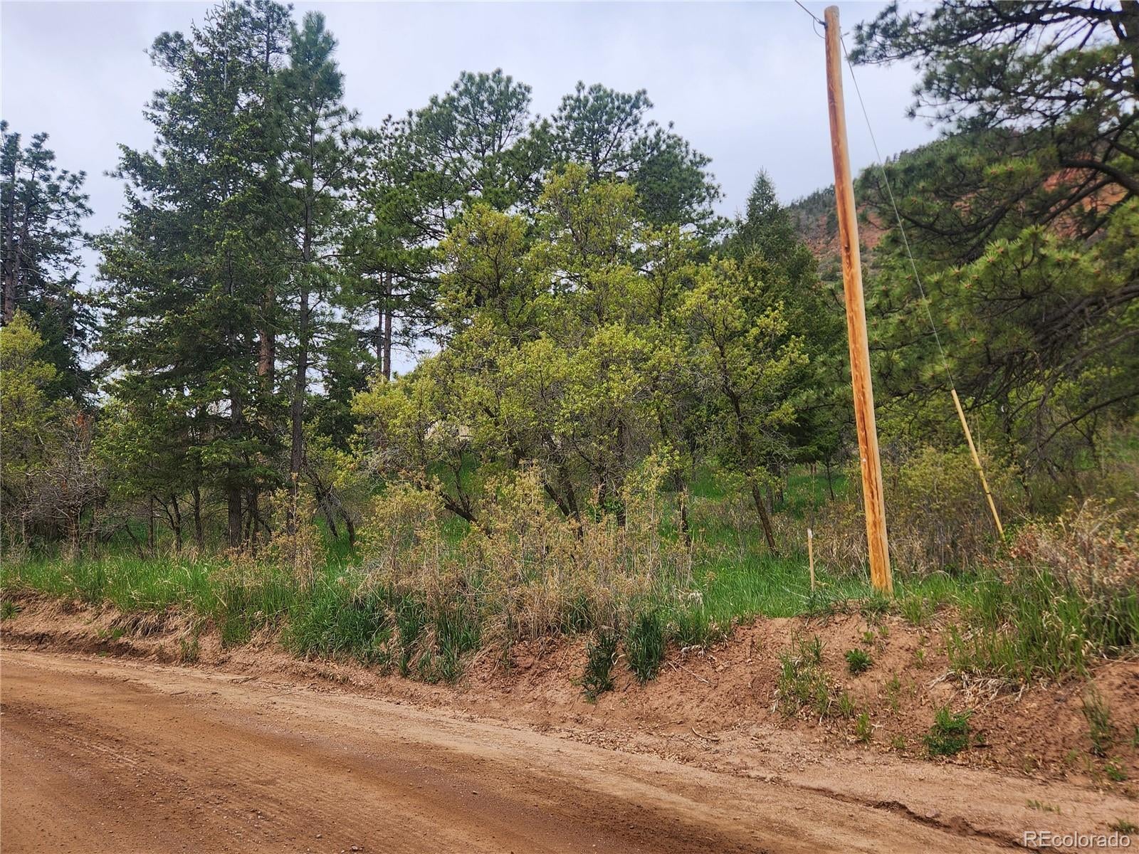 Photo of Listing #9375740