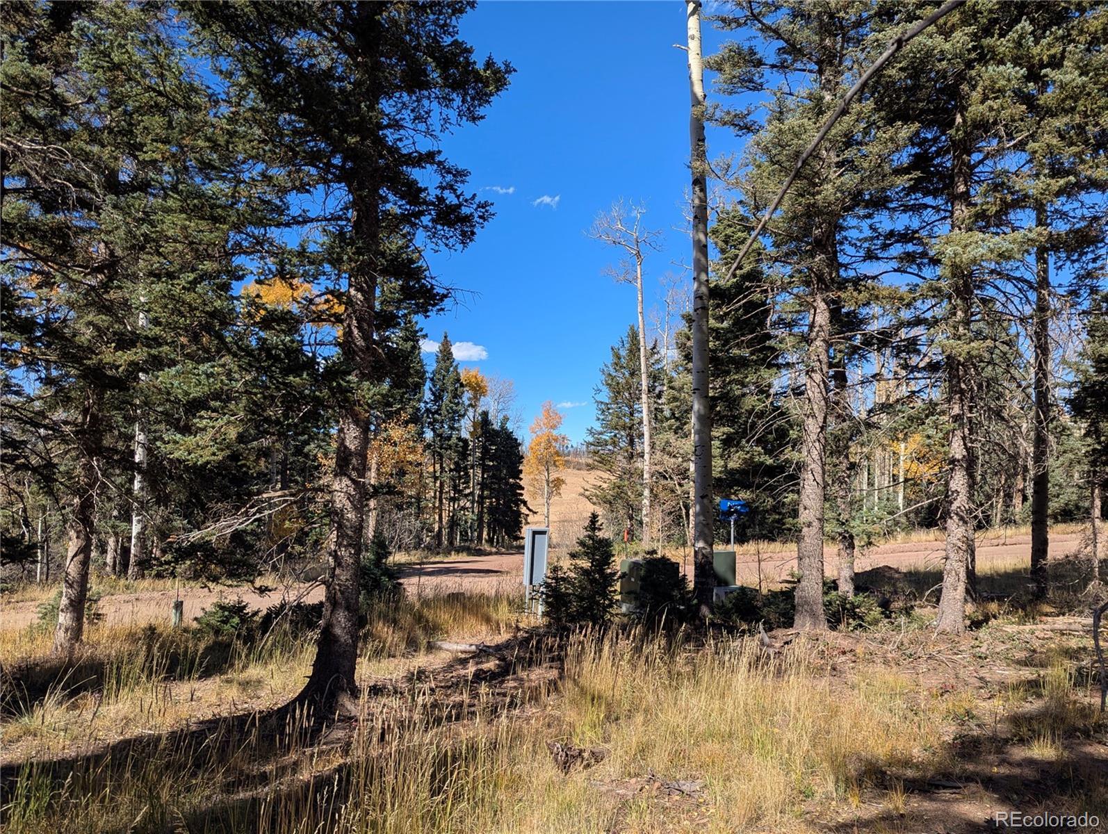 Photo of Listing #9379992