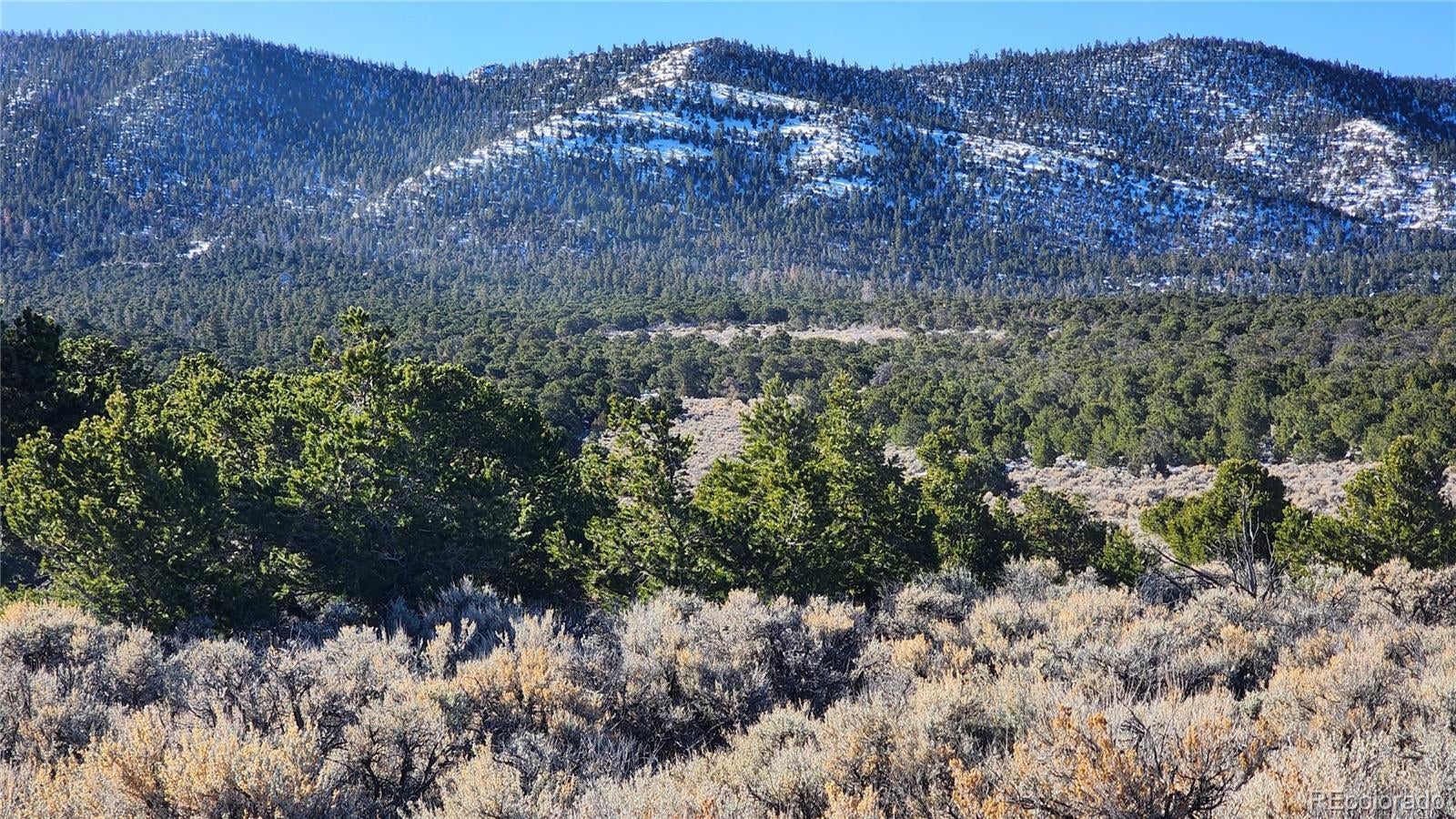 Photo of Listing #9383098