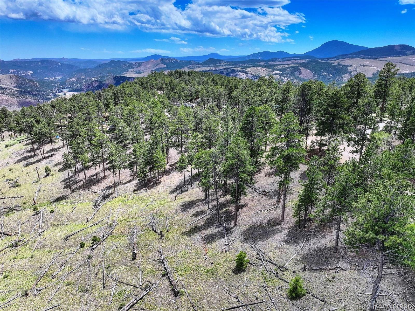 Photo of Listing #9547916