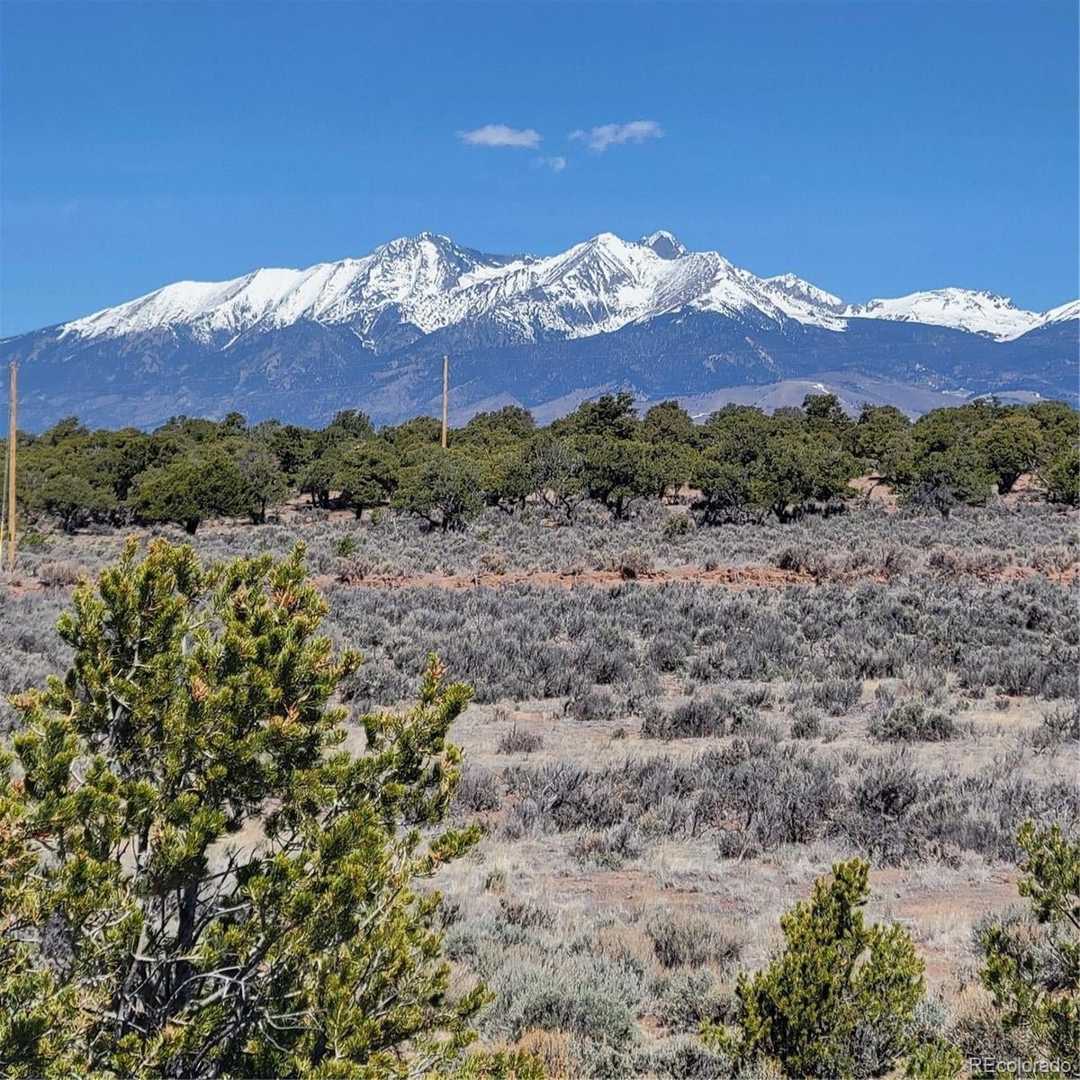 Photo of Listing #9558206