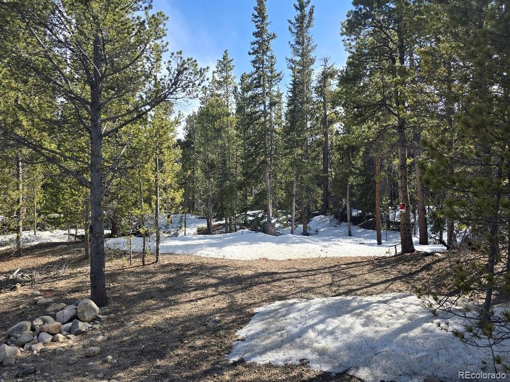 Photo of Listing #9573587