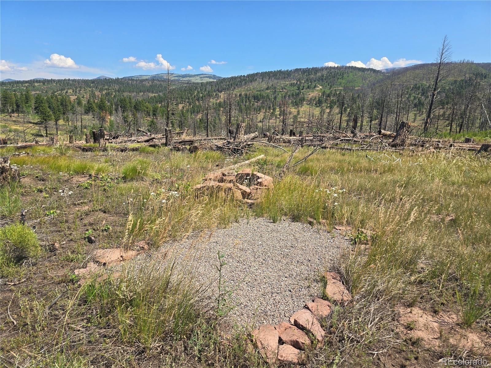 Photo of Listing #9599940