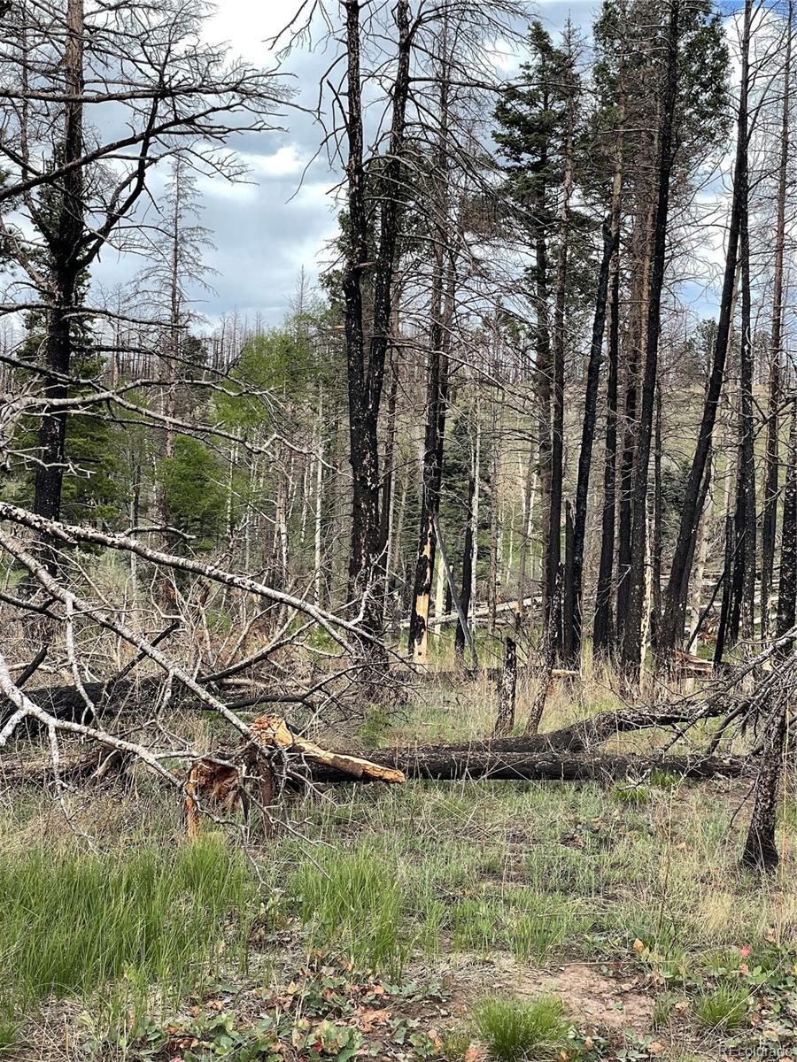 Photo of Listing #9630876