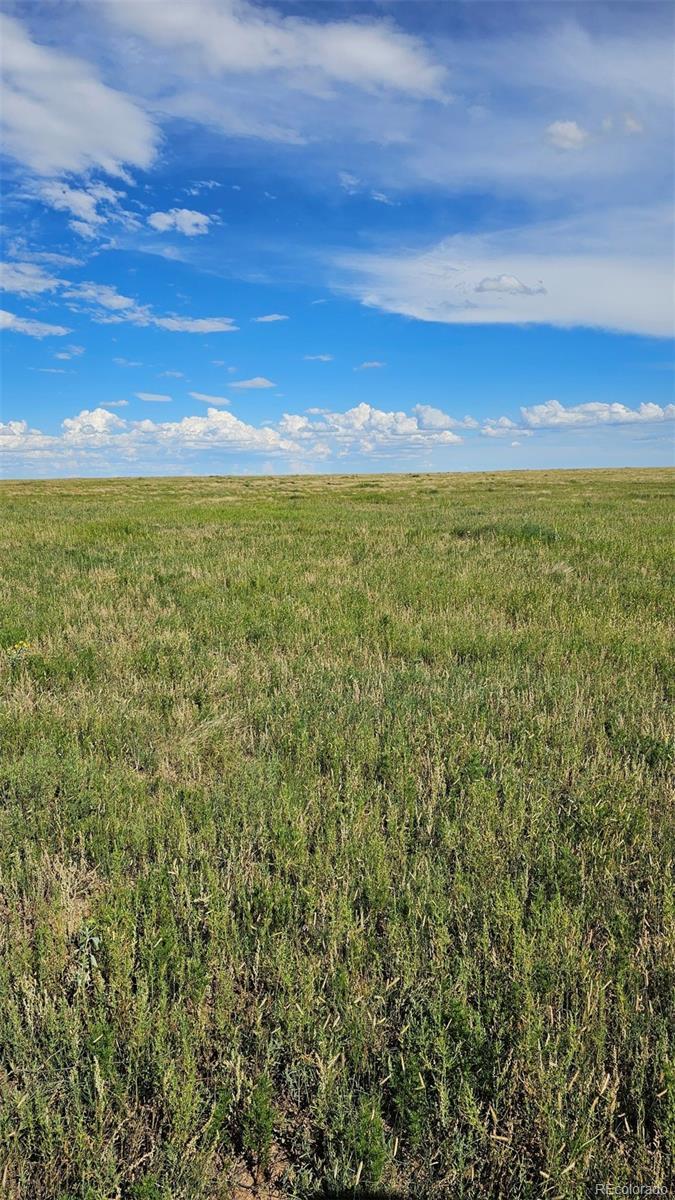 Photo of Listing #9632729