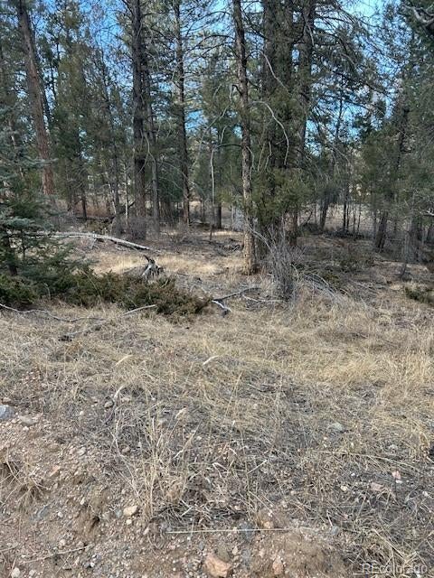 Photo of Listing #9635175