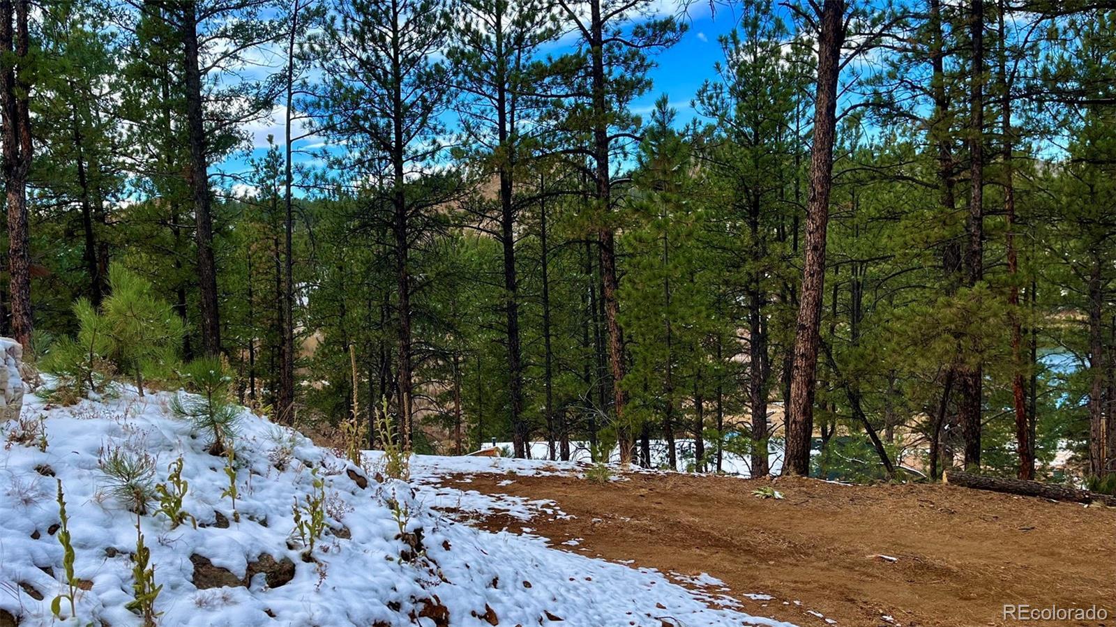 Photo of Listing #9639334