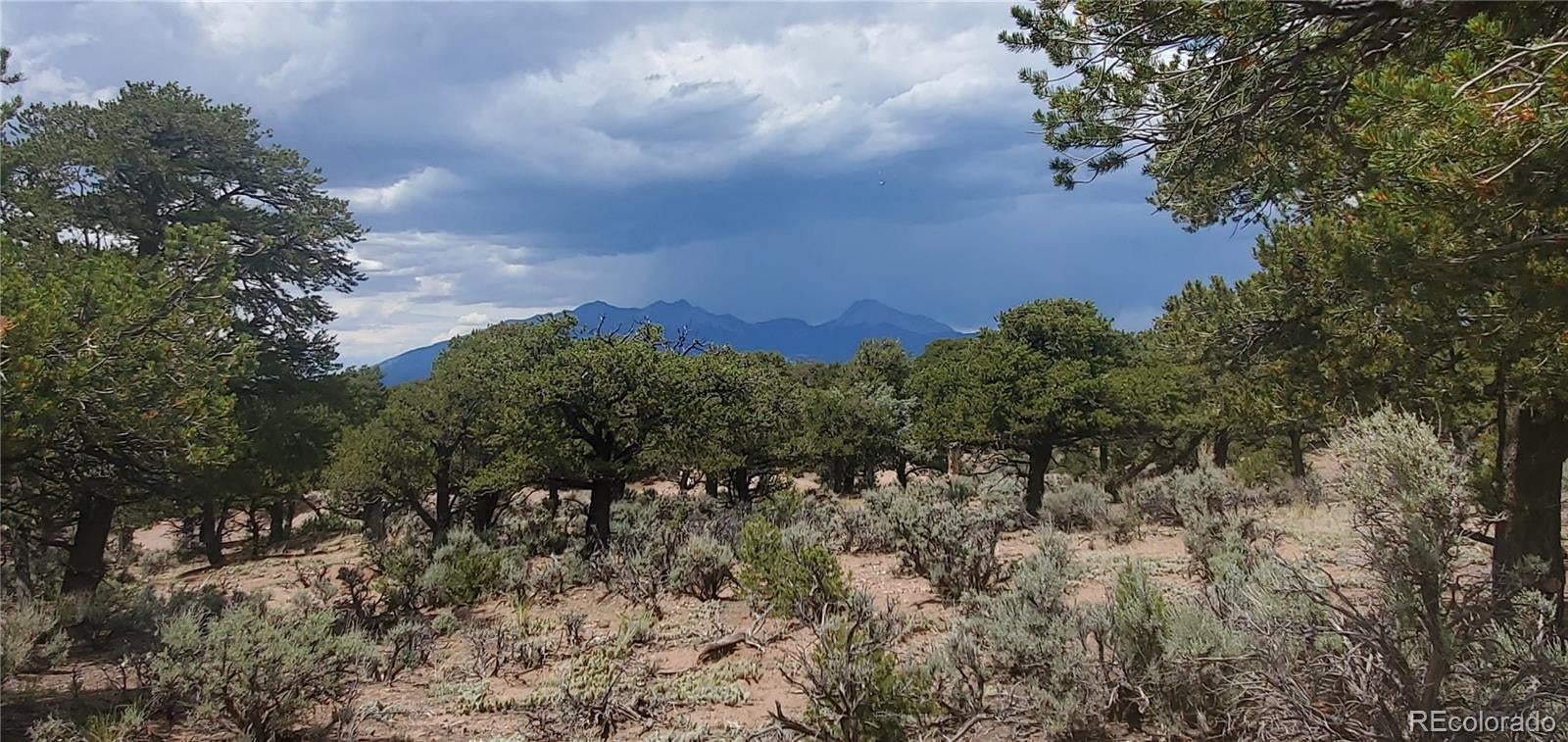 Photo of Listing #9673925