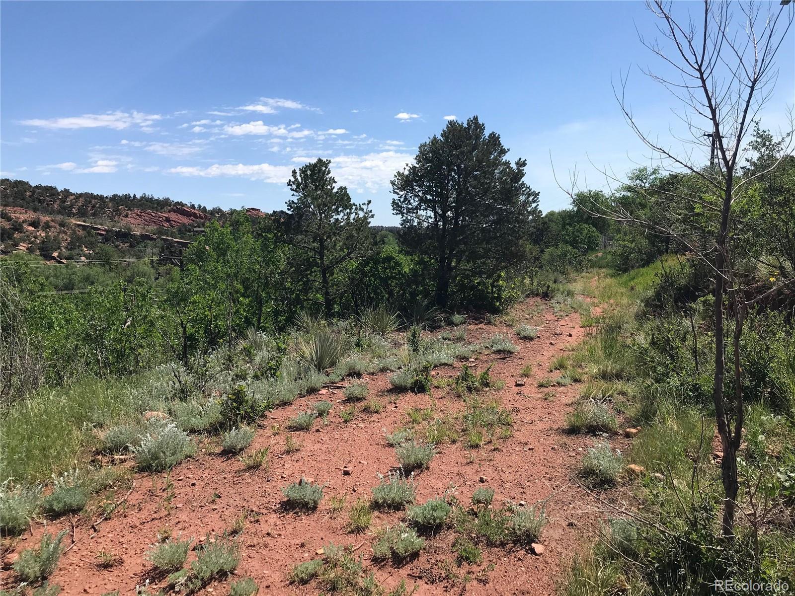 Photo of Listing #9773316