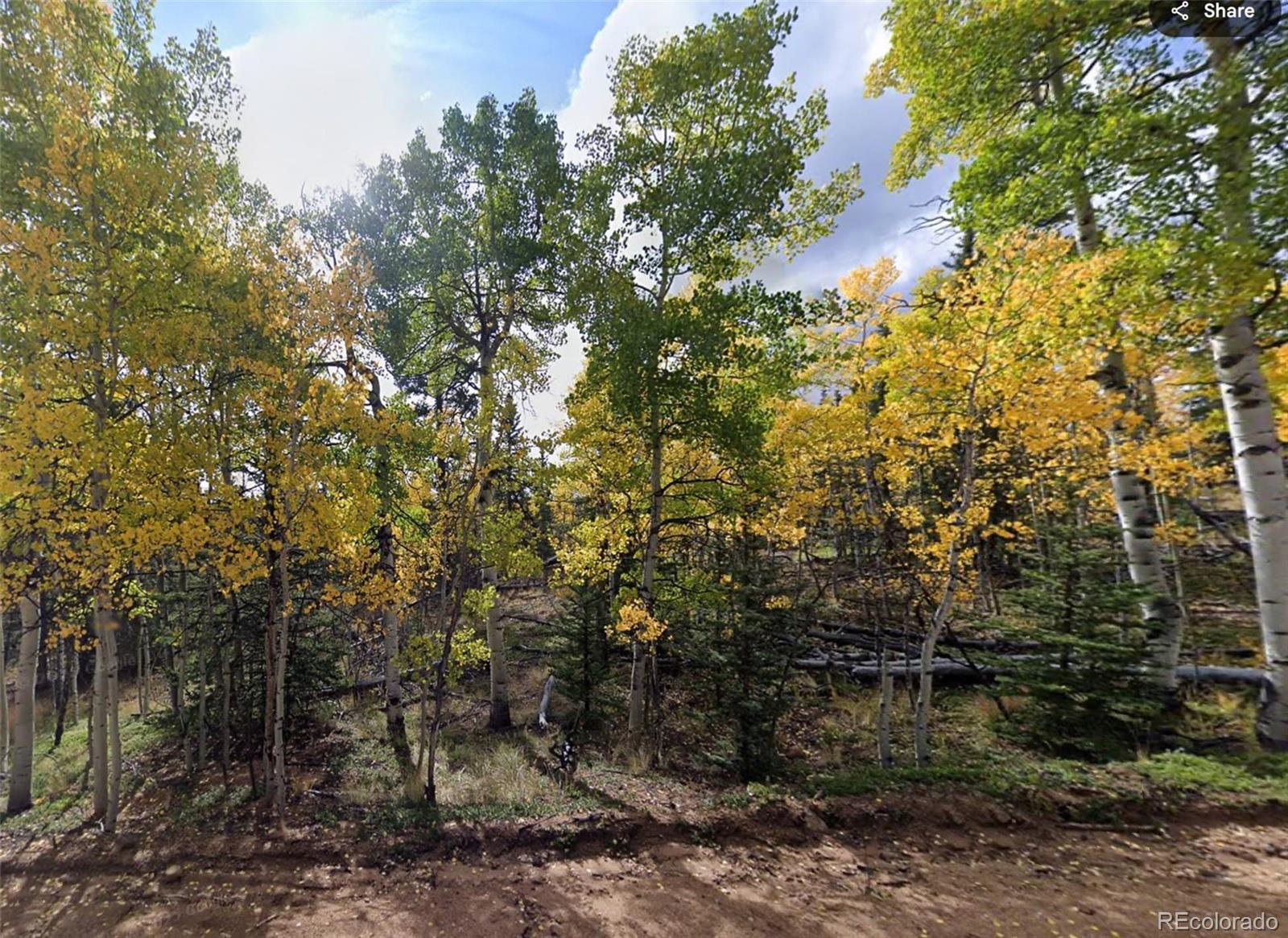 Photo of Listing #9776188