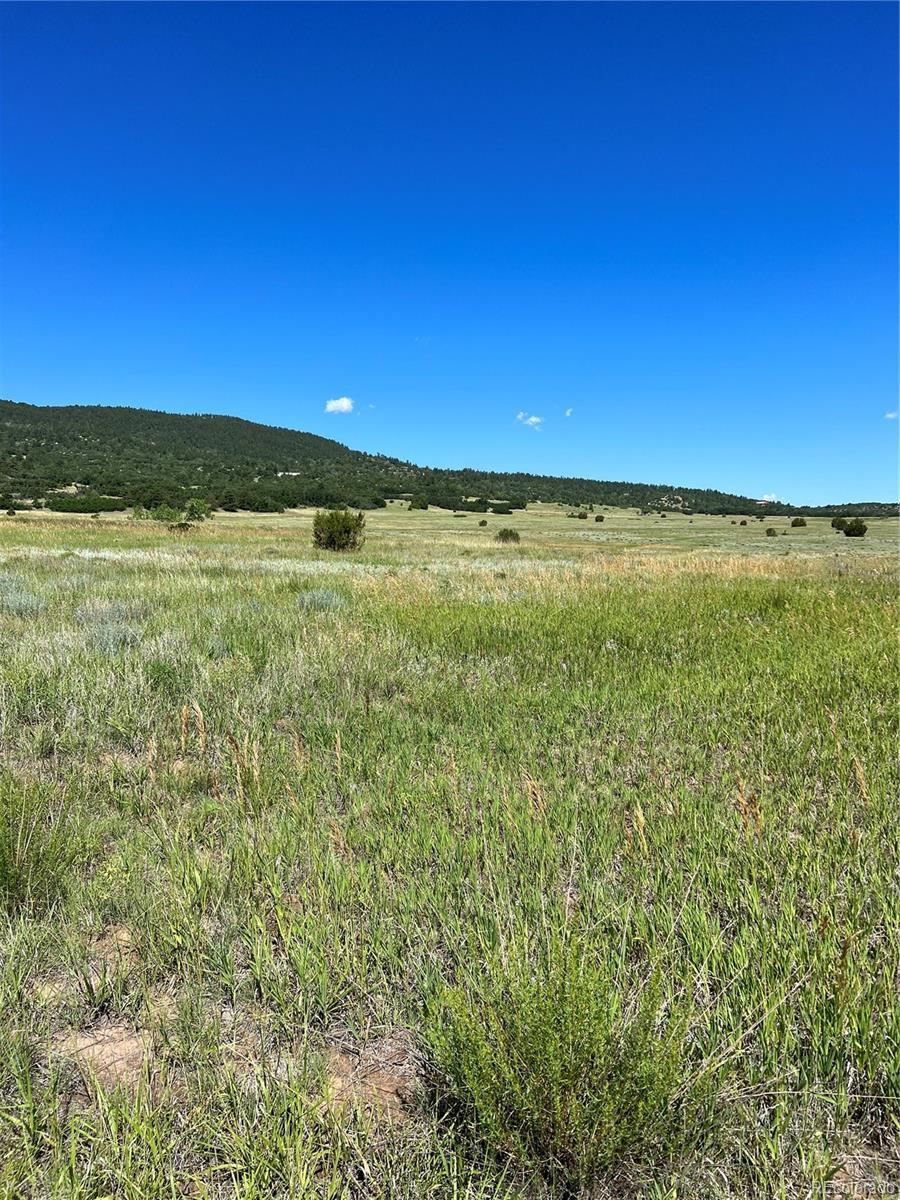 Photo of Listing #9784611