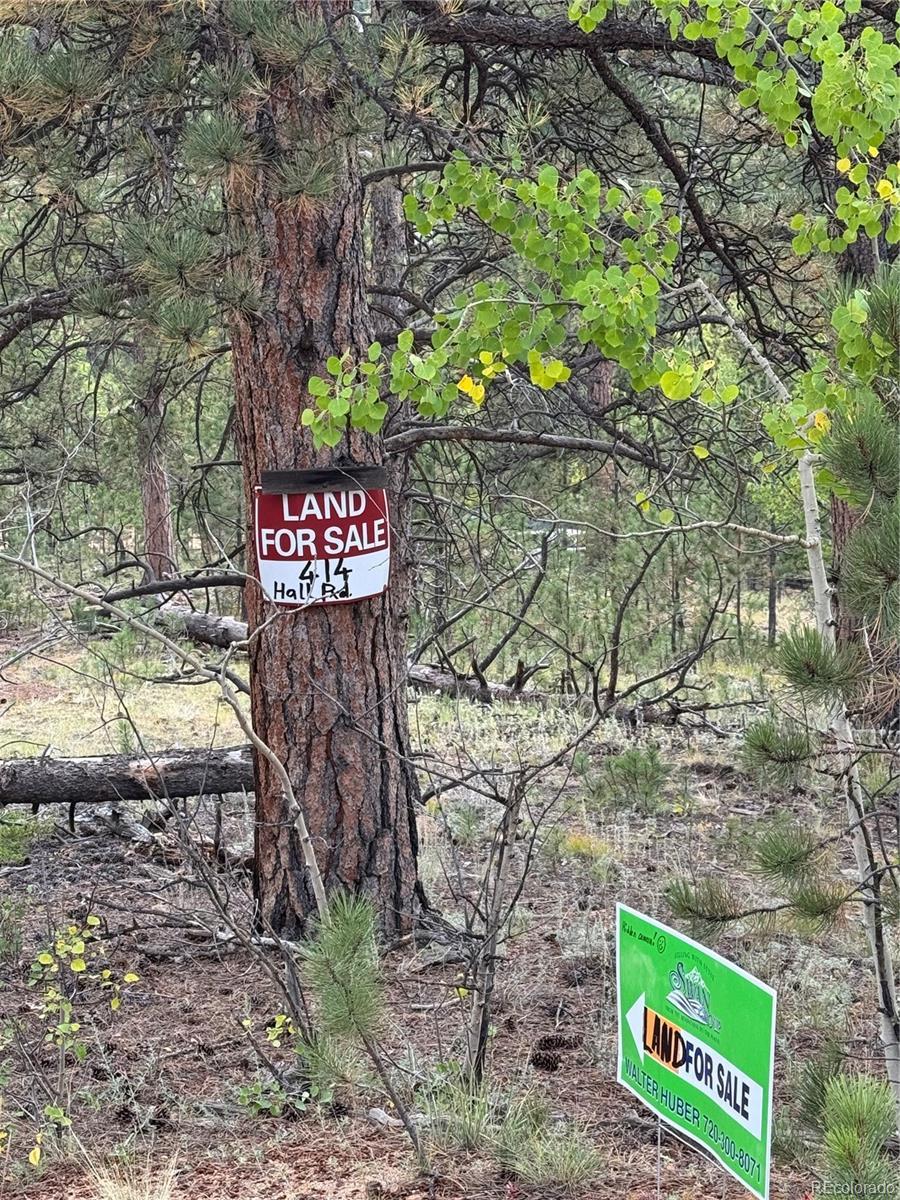 Photo of Listing #9786082