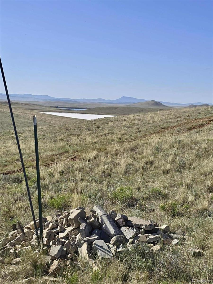 Photo of Listing #9795268