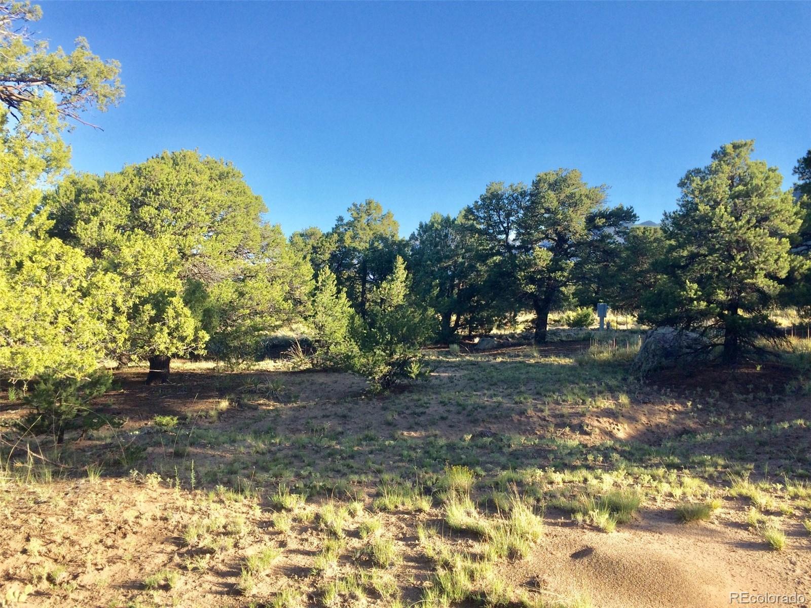 Photo of Listing #9852223