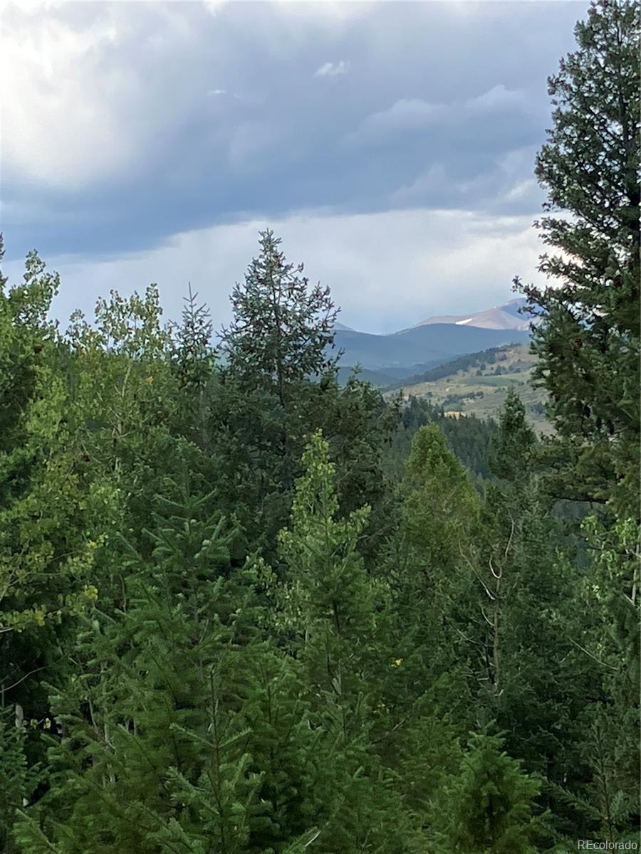 Photo of Listing #9861304