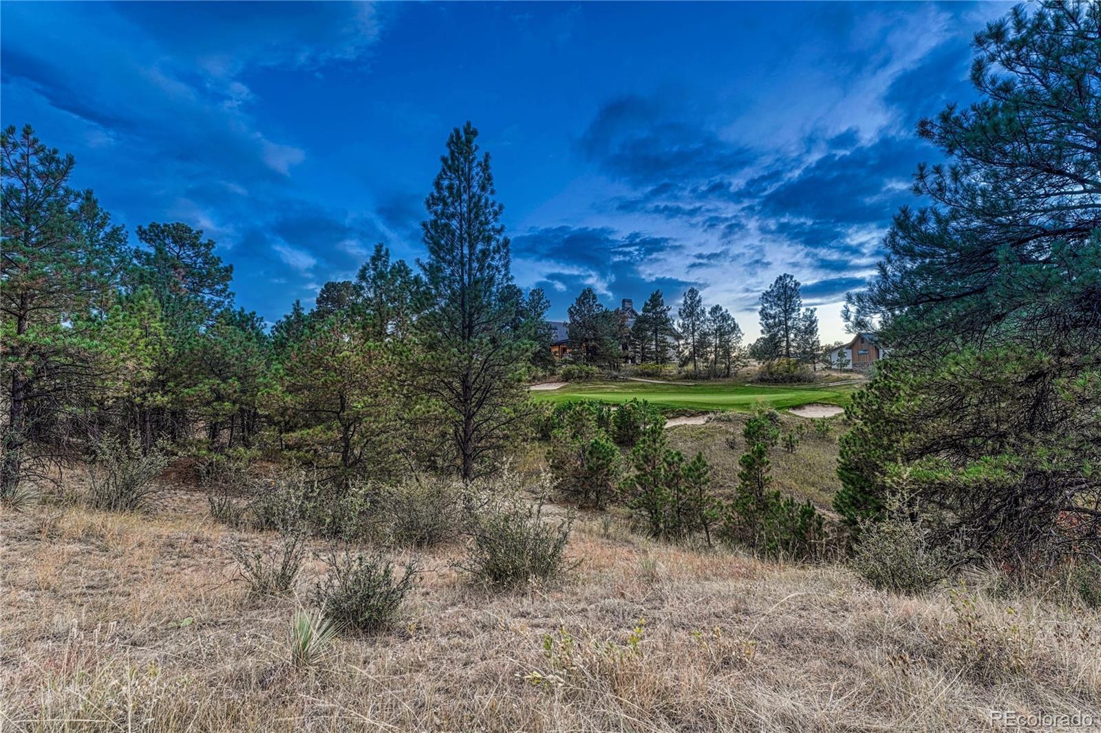 Photo of Listing #9871150