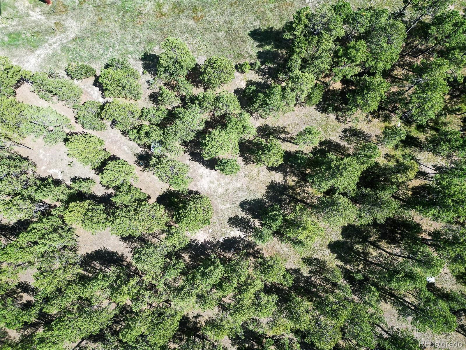 Photo of Listing #9900022