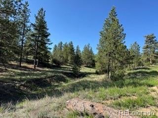 Photo of Listing #9900893