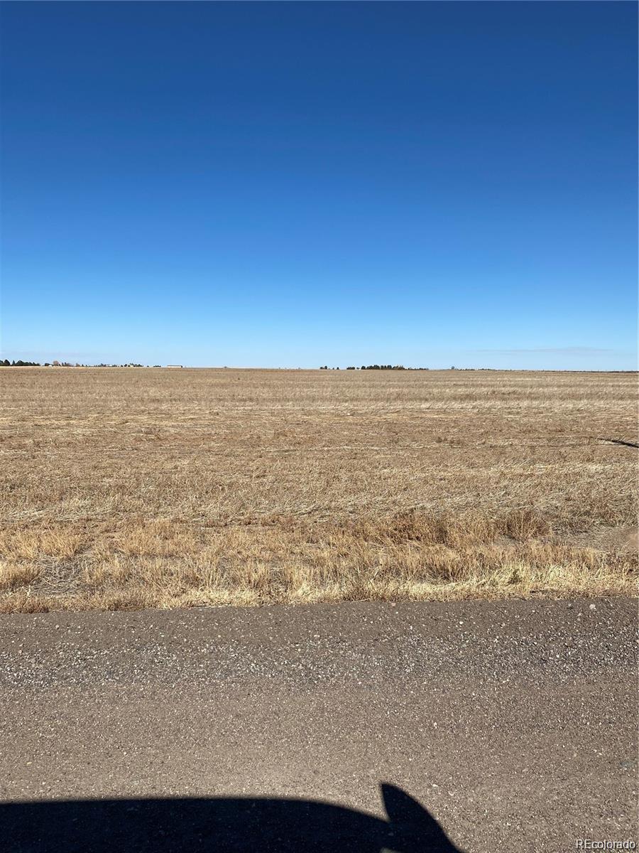 Photo of Listing #9951095