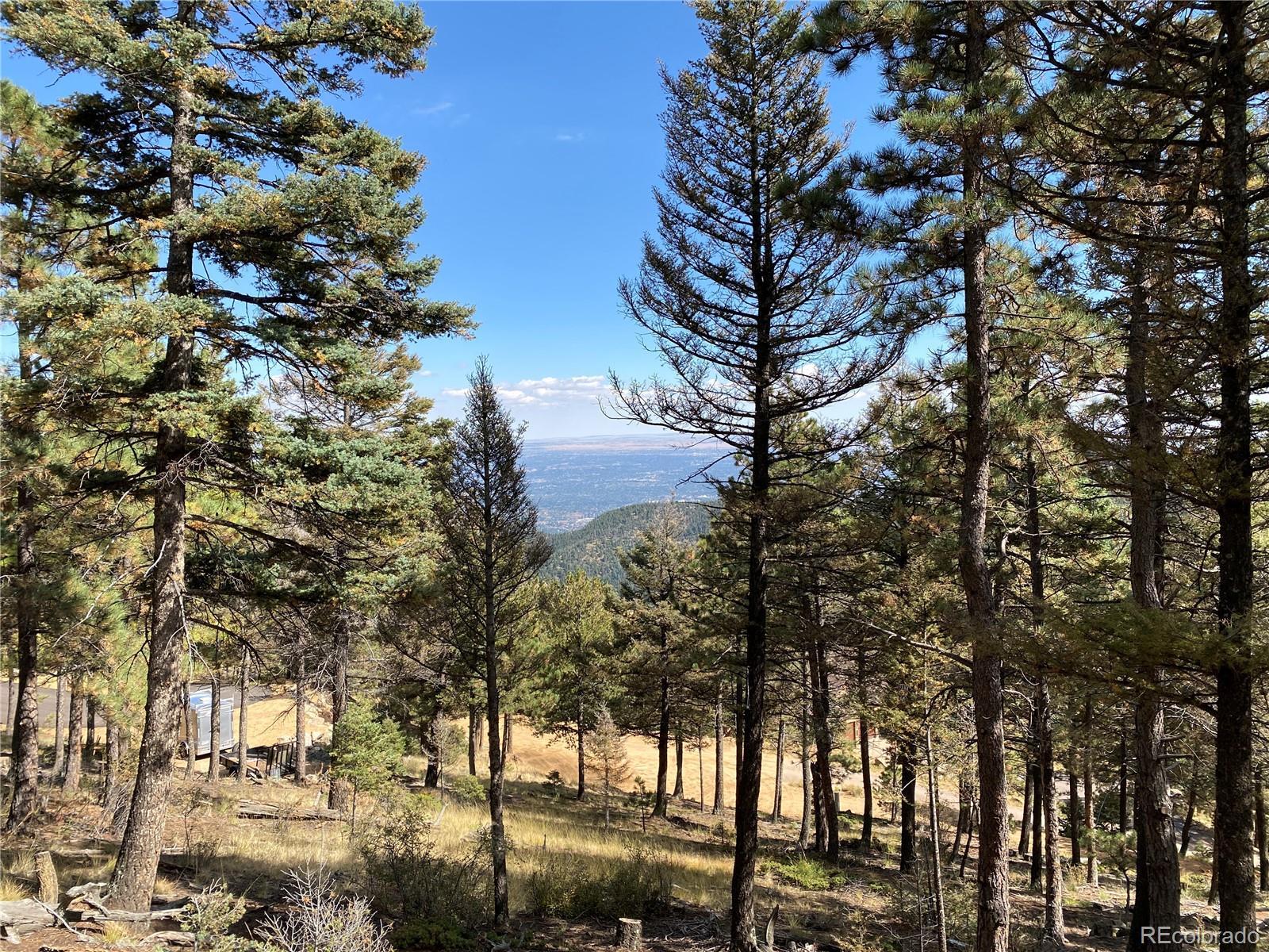 Photo of Listing #9982049