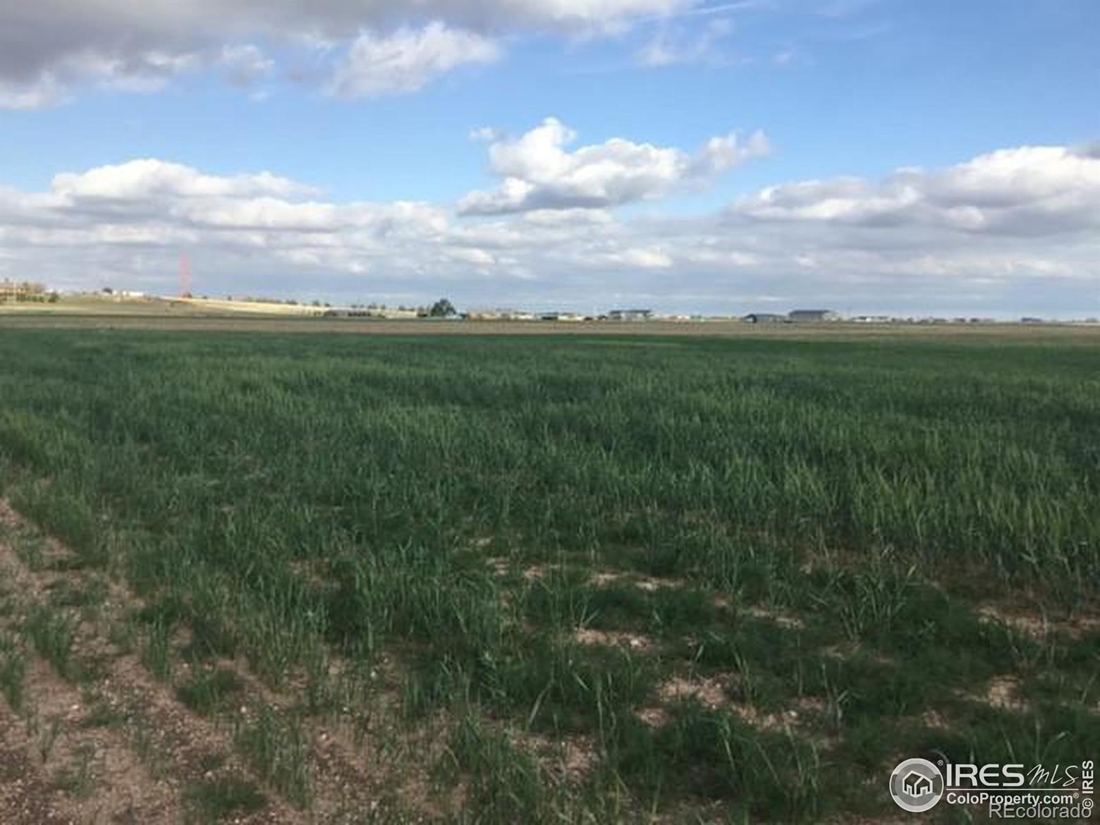 Photo of Listing #IR1007775